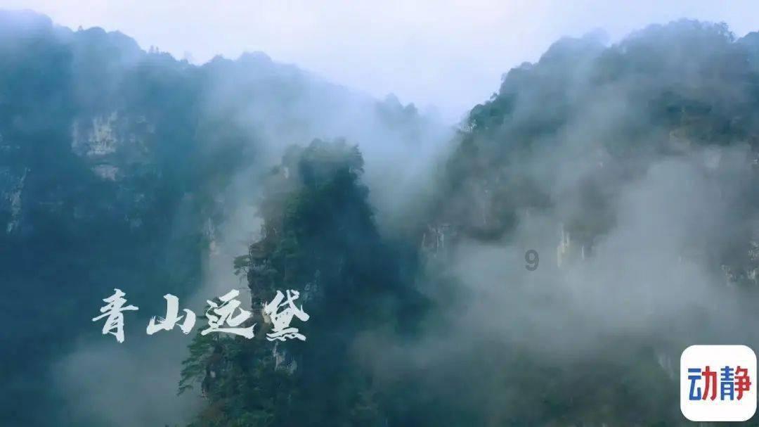探索农历二月初八是什么日子专业讨论社区
